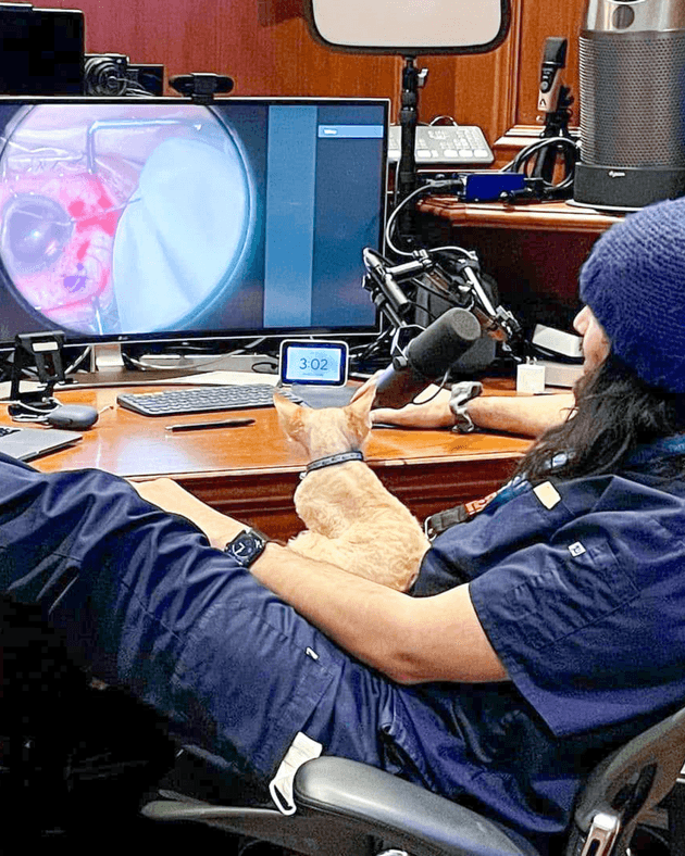 The man sitting in a chair with a cat looking at the computer monitor where eye surgery is being streamed